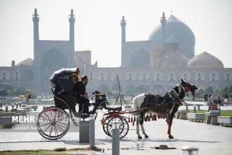 Selected Photos of September 2025