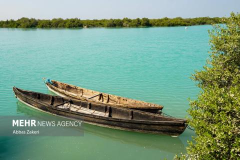 Selected Photos of September 2025