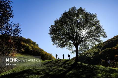 Selected Photos of September 2025