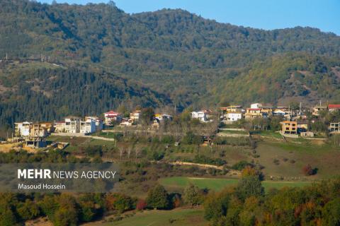 Autumnal leaf drop in Savadkuh