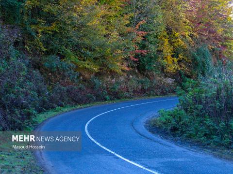 Autumnal leaf drop in Savadkuh