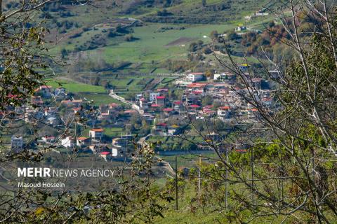 Autumnal leaf drop in Savadkuh
