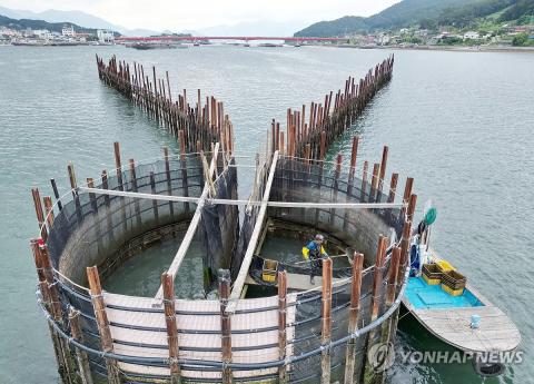 Traditional anchovy fishing