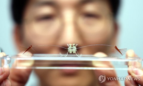 Creation of water-walking robot inspired by water striders