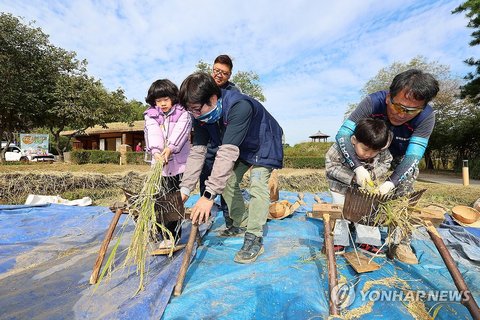 Children experience rice harvesting