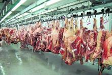 12 new slaughterhouses built in Kyrgyzstan