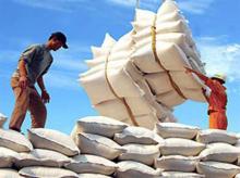 Rice export to Africa increasing