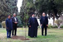 Raisi plants sapling to mark National Tree Planting Day