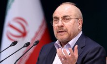 Iran's parl. speaker calls for curbing on Israeli crimes