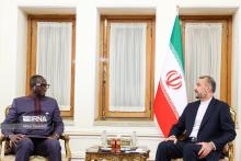 Expansion of ties with African states, Iran’s priority