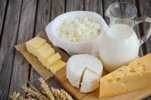 Kyrgyzstan exported over 26 thsd tons of dairy products since beginning of year