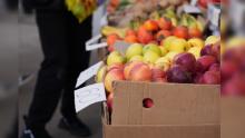 Exports of fruit from Iran to Kyrgyzstan doubled in Jan-Sep: Data