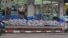 sandbags