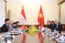 Vietnam, Singapore convene 17th political consultation