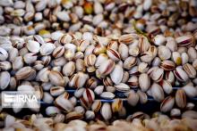 Iran pistachio exports to EU up 17% y/y in first quarter 2024