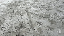 Ongoing drought causes annual decline in Lake Tuz's size in Turkiye