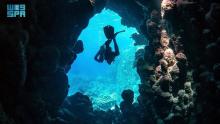 Jeddah's Great Reef: Vibrant Red Sea Marine Heritage