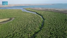 Sabya Governorate's Natural Diversity Drives Tourism Growth