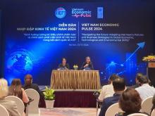 Vietnam shows resilience amid global challenges, but much work remains to be done: experts