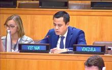 Ambassador Dang Hoang Giang, Permanent Representative of Vietnam to the UN, speaks at the debate of the Committee on Social, Humanitarian and Cultural Issues (Third Committee) of the 79th session of UN General Assembly in New York on October 22. (Photo: VNA)