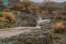 Visitors Flock to Al-Baha to Witness Stunning Scenery after Rainfall
