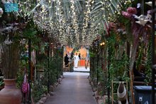 Madinah's Rural Farms Attract Summer Visitors