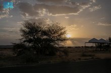 Prince Mishal bin Saud Park: A Blend of Nature and Entertainment in Najran