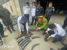 Hai Phong Customs officers discover the smuggling of 1.6 tons of ivory. (Photo: VNA)