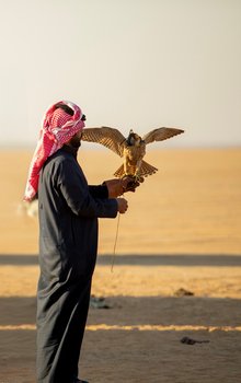 Sharurah Winter Festival Blends Tradition and Modern Entertainment in Najran