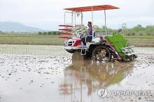 In this file photo, a farmer plants rice seedlings in a rice paddy in the southeastern city of Busan on April 22, 2024, the year's first rice planting in the region. (Yonhap)