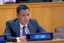 Vietnam to make positive contributions to common work of G77 and China: Ambassador