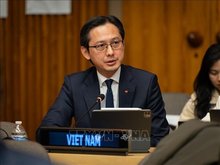 Vietnam appreciates timely support from UN Central Emergency Response Fund, donors