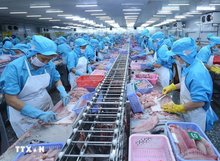 CPTPP drives Vietnam’s agro-fisheries exports