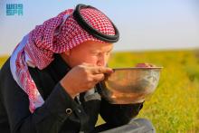 Camels in Saudi Heritage: A Source of Food, Medicine, and National Legacy
