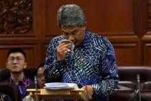 Foreign Minister Mohamad Hasan read his statement for the motion of solidarity with the Palestinian people at the Senate sitting on Thursday.