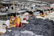 Vietnam records highest industrial production growth in five years