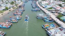 Vietnam’s anti-IUU fishing efforts: Insights from Global Experts