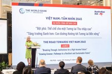 Institutional reforms, greener development to help Vietnam achieve high-income status: WB