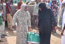 KSrelief Distributes 1,500 Food Baskets in Sudan’s Gedaref State