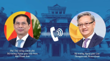 Vietnamese, Lao FMs hold online talks (Photo: VNA)