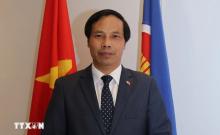 Vietnamese Ambassador to Qatar Nguyen Huy Hiep (Photo: VNA)