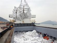 Rice exports likely to set new record in 2024