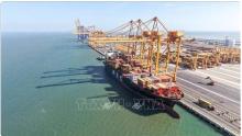 The first commercial vessel officially docks at Berths 3 and 4 at the Hai Phong International Gateway Port in the northern city of Hai Phong on April 16. (Photo: VNA)