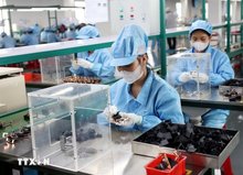 Vietnam, RoK strengthen cooperation on trade remedies