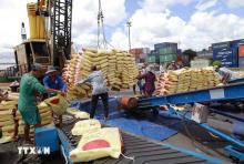 Vietnam's rice exports increase over 23%