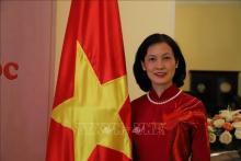 Guinea-Bissau President’s Vietnam visit carries important significance: Ambassador