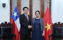 Parliamentary ties crucial to Vietnam - Chile comprehensive partnership: State leader