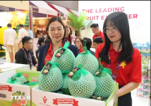 Vietnamese vegetables, fruits promoted at Asia Fruit Logistica