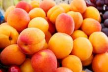 Uzbekistan exported 2.7 tons of apricot to Kyrgyzstan this year