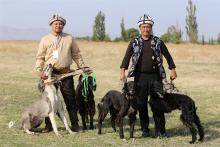 Festival of ethnic hunting, national games held in Kyrgyzstan’s Chui Oblast 